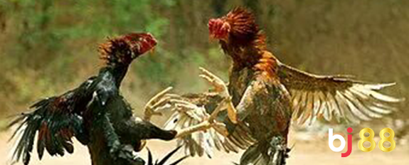 ประเทศไทย ซาบอง ออนไลน์